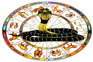Kaal Sarp Yog Dosh